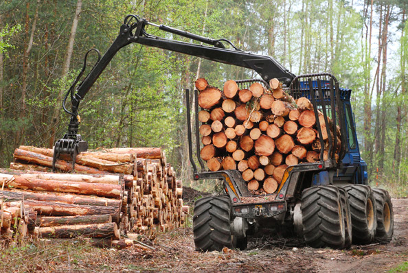 riduttori per forestale: esempio applicazioni