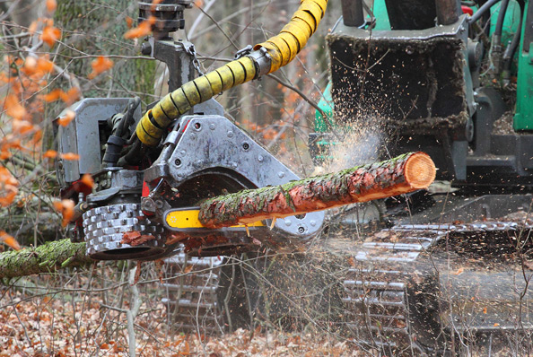 riduttori per verricelli forestali: esempio applicazione